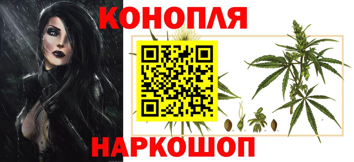 Конопля THC 21%  Вход с VPN  Марихуана план  Каннабис семена  Усть-Джегута 